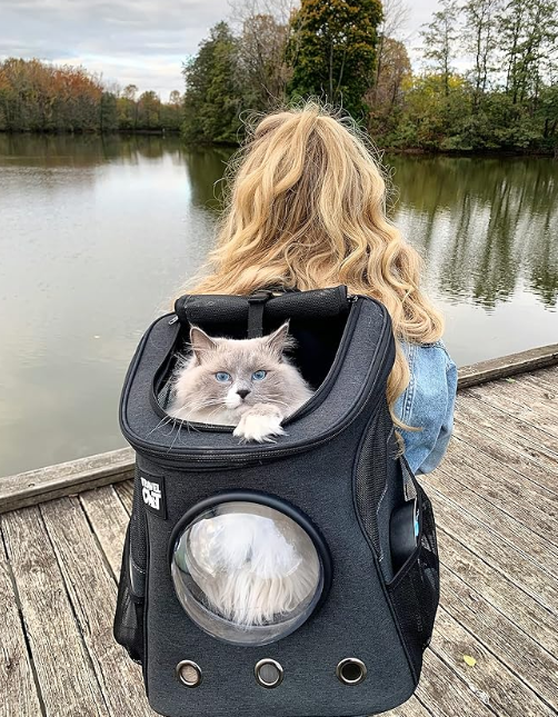 Le compagnon Félin idéal : Le sac à dos “Fat Cat”